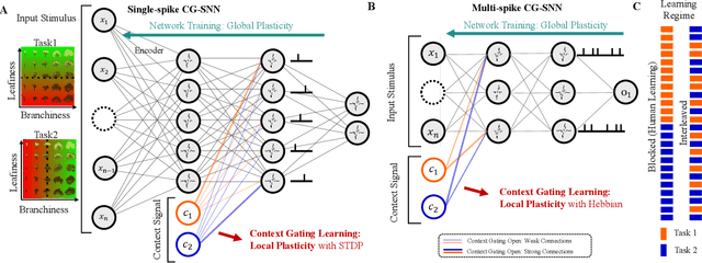 Figure 1 for Context Gating in Spiking Neural Networks: Achieving Lifelong Learning through Integration of Local and Global Plasticity