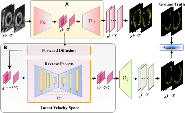 Figure 1 for LaMoD: Latent Motion Diffusion Model For Myocardial Strain Generation