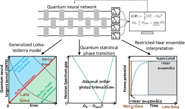 Figure 1 for Dynamical phase transition in quantum neural networks with large depth