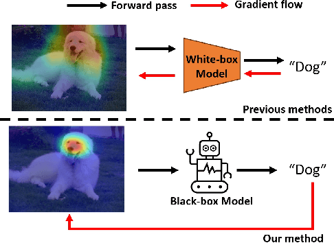 Figure 1 for Forward Learning for Gradient-based Black-box Saliency Map Generation