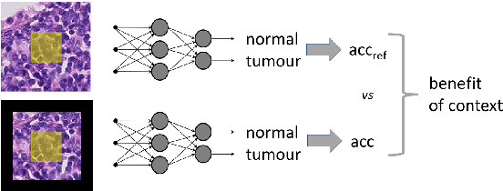 Figure 1 for Does context matter in digital pathology?