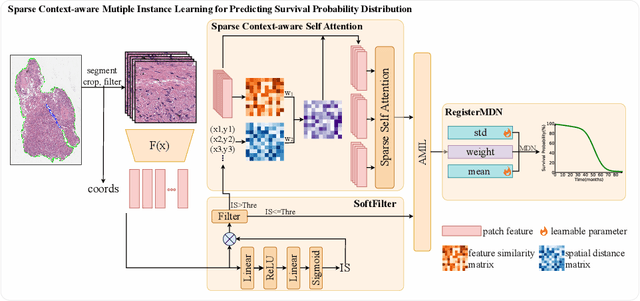 Figure 1 for SCMIL: Sparse Context-aware Multiple Instance Learning for Predicting Cancer Survival Probability Distribution in Whole Slide Images