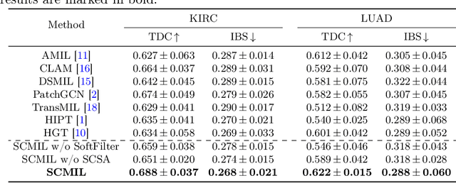 Figure 2 for SCMIL: Sparse Context-aware Multiple Instance Learning for Predicting Cancer Survival Probability Distribution in Whole Slide Images