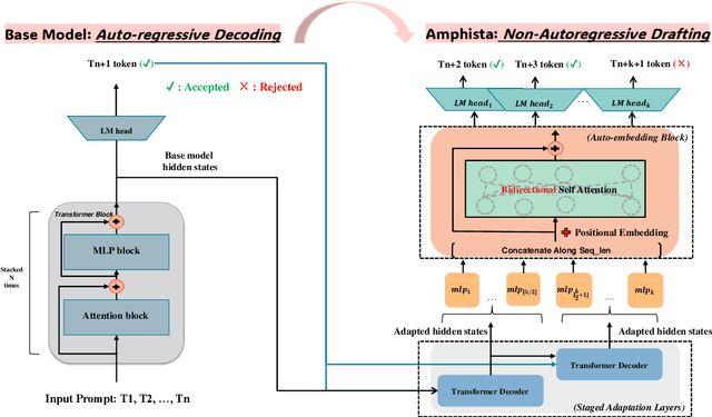 Figure 3 for Amphista: Accelerate LLM Inference with Bi-directional Multiple Drafting Heads in a Non-autoregressive Style