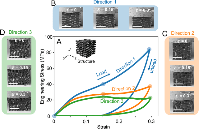 Figure 2 for Mechanical Characterization and Inverse Design of Stochastic Architected Metamaterials Using Neural Operators