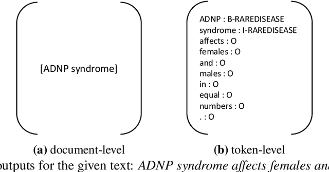 Figure 1 for Large Language Models Struggle in Token-Level Clinical Named Entity Recognition