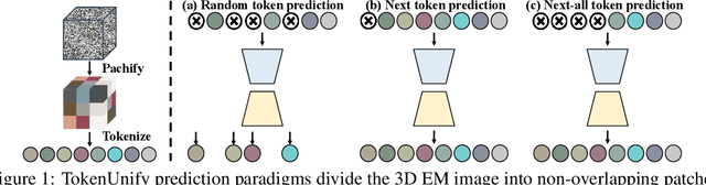 Figure 1 for TokenUnify: Scalable Autoregressive Visual Pre-training with Mixture Token Prediction