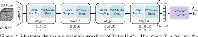 Figure 3 for TokenUnify: Scalable Autoregressive Visual Pre-training with Mixture Token Prediction