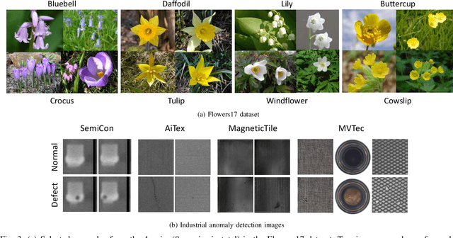 Figure 3 for COFT-AD: COntrastive Fine-Tuning for Few-Shot Anomaly Detection