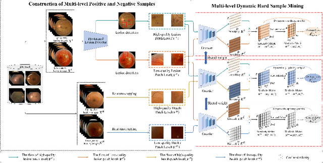 Figure 3 for A Clinical-oriented Multi-level Contrastive Learning Method for Disease Diagnosis in Low-quality Medical Images