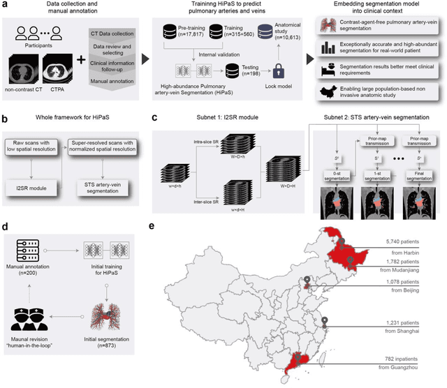 Figure 1 for Deep learning-driven pulmonary arteries and veins segmentation reveals demography-associated pulmonary vasculature anatomy