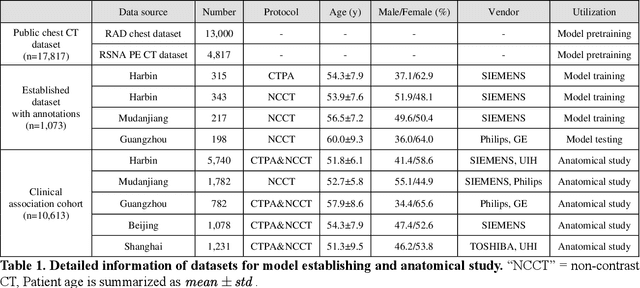 Figure 2 for Deep learning-driven pulmonary arteries and veins segmentation reveals demography-associated pulmonary vasculature anatomy