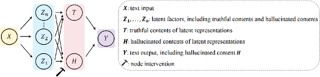 Figure 3 for Look Within, Why LLMs Hallucinate: A Causal Perspective