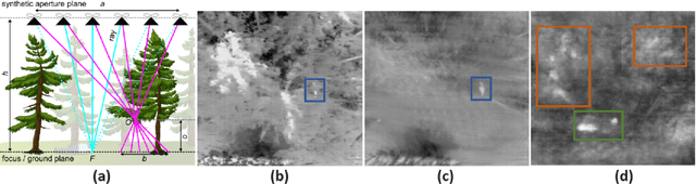 Figure 1 for Stereoscopic Depth Perception Through Foliage