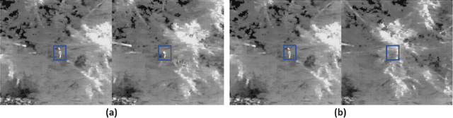 Figure 3 for Stereoscopic Depth Perception Through Foliage