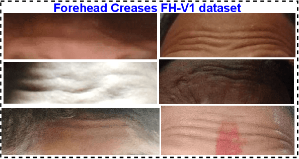 Figure 4 for FH-SSTNet: Forehead Creases based User Verification using Spatio-Spatial Temporal Network