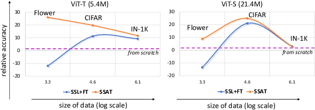 Figure 1 for Limited Data, Unlimited Potential: A Study on ViTs Augmented by Masked Autoencoders