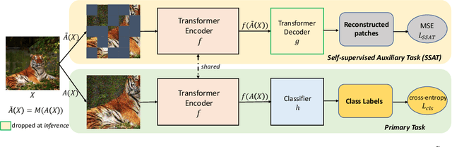 Figure 3 for Limited Data, Unlimited Potential: A Study on ViTs Augmented by Masked Autoencoders