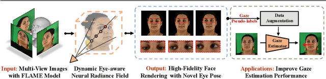Figure 1 for High-Fidelity Eye Animatable Neural Radiance Fields for Human Face