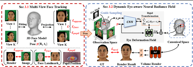 Figure 3 for High-Fidelity Eye Animatable Neural Radiance Fields for Human Face