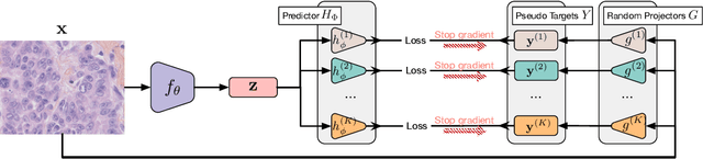 Figure 3 for Self-supervised Representation Learning From Random Data Projectors