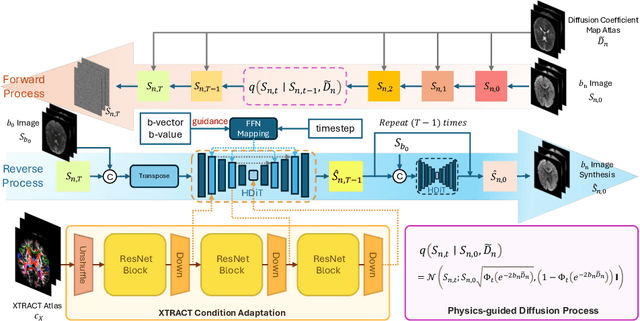 Figure 1 for Phy-Diff: Physics-guided Hourglass Diffusion Model for Diffusion MRI Synthesis