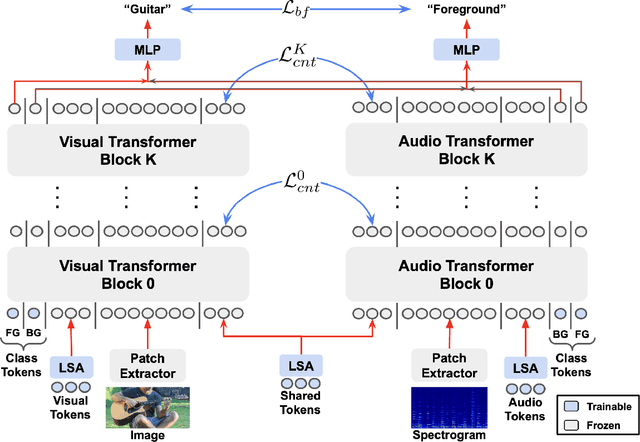 Figure 3 for MA-AVT: Modality Alignment for Parameter-Efficient Audio-Visual Transformers