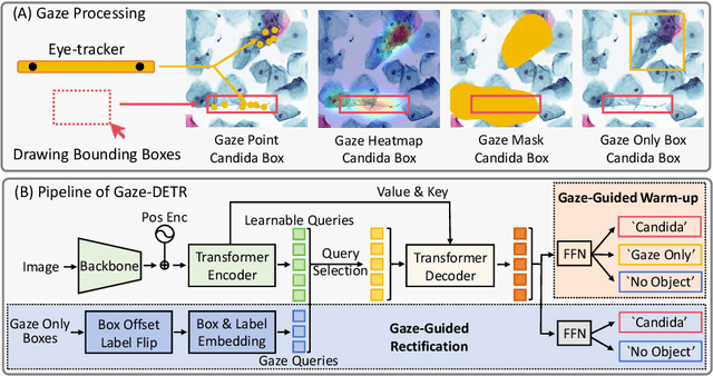 Figure 3 for Gaze-DETR: Using Expert Gaze to Reduce False Positives in Vulvovaginal Candidiasis Screening