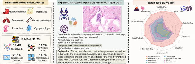Figure 1 for PathMMU: A Massive Multimodal Expert-Level Benchmark for Understanding and Reasoning in Pathology