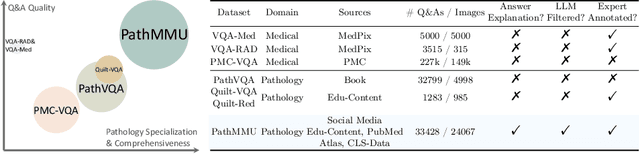 Figure 3 for PathMMU: A Massive Multimodal Expert-Level Benchmark for Understanding and Reasoning in Pathology