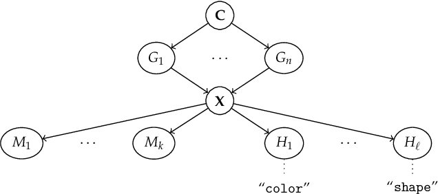 Figure 2 for Interpretability is in the Mind of the Beholder: A Causal Framework for Human-interpretable Representation Learning