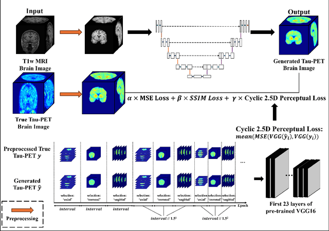Figure 1 for Cyclic 2.5D Perceptual Loss for Cross-Modal 3D Image Synthesis: T1 MRI to Tau-PET