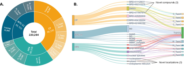 Figure 3 for CHAMMI: A benchmark for channel-adaptive models in microscopy imaging