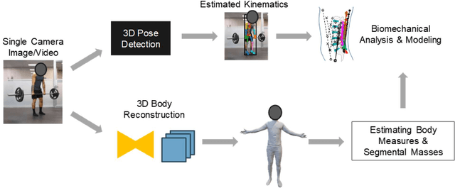 Figure 1 for Machine Learning Applications in Spine Biomechanics