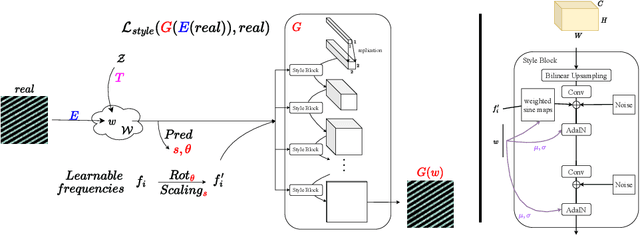 Figure 1 for A geometrically aware auto-encoder for multi-texture synthesis