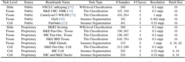 Figure 2 for PLUTO: Pathology-Universal Transformer