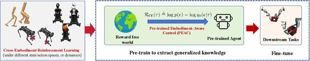 Figure 1 for PEAC: Unsupervised Pre-training for Cross-Embodiment Reinforcement Learning