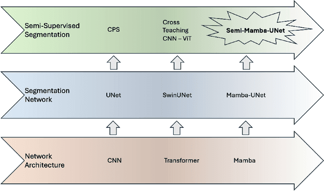 Figure 1 for Semi-Mamba-UNet: Pixel-Level Contrastive Cross-Supervised Visual Mamba-based UNet for Semi-Supervised Medical Image Segmentation