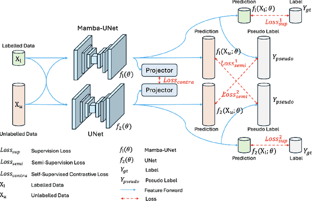 Figure 3 for Semi-Mamba-UNet: Pixel-Level Contrastive Cross-Supervised Visual Mamba-based UNet for Semi-Supervised Medical Image Segmentation