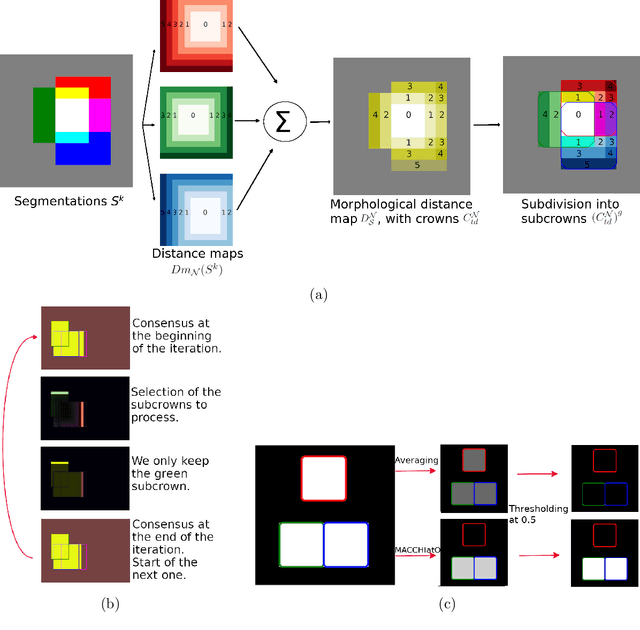 Figure 3 for Morphologically-Aware Consensus Computation via Heuristics-based IterATive Optimization (MACCHIatO)