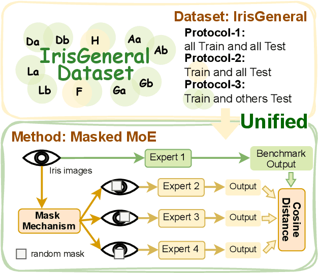 Figure 1 for A Unified Framework for Iris Anti-Spoofing: Introducing IrisGeneral Dataset and Masked-MoE Method