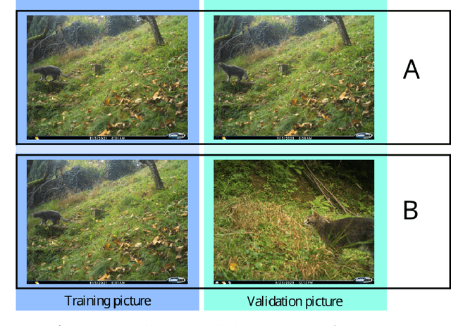 Figure 3 for Nine tips for ecologists using machine learning