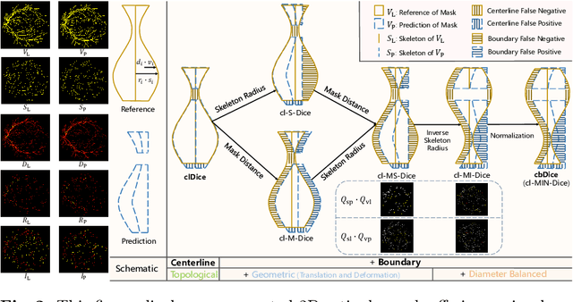 Figure 3 for Centerline Boundary Dice Loss for Vascular Segmentation