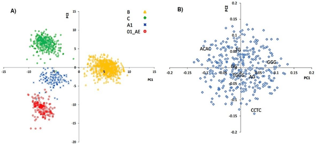 Figure 4 for An Investigation of Hepatitis B Virus Genome using Markov Models