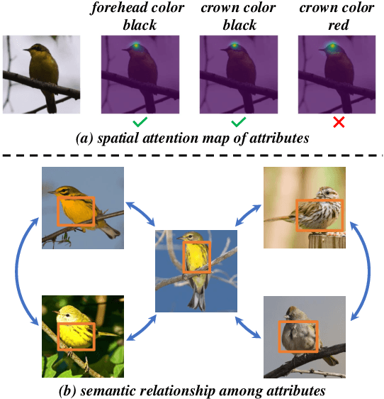 Figure 1 for Dual Relation Mining Network for Zero-Shot Learning