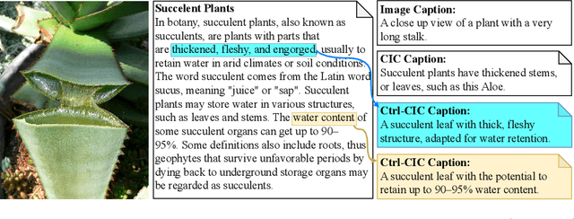 Figure 1 for Controllable Contextualized Image Captioning: Directing the Visual Narrative through User-Defined Highlights