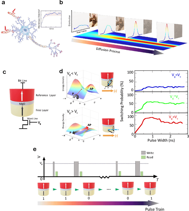 Figure 1 for Voltage-Controlled Magnetoelectric Devices for Neuromorphic Diffusion Process