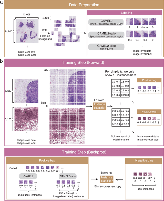 Figure 1 for CAMEL2: Enhancing weakly supervised learning for histopathology images by incorporating the significance ratio