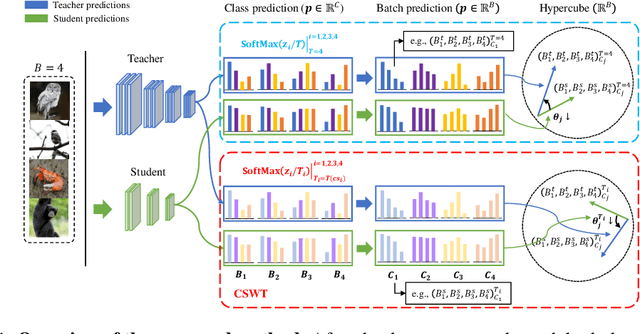 Figure 1 for Cosine Similarity Knowledge Distillation for Individual Class Information Transfer