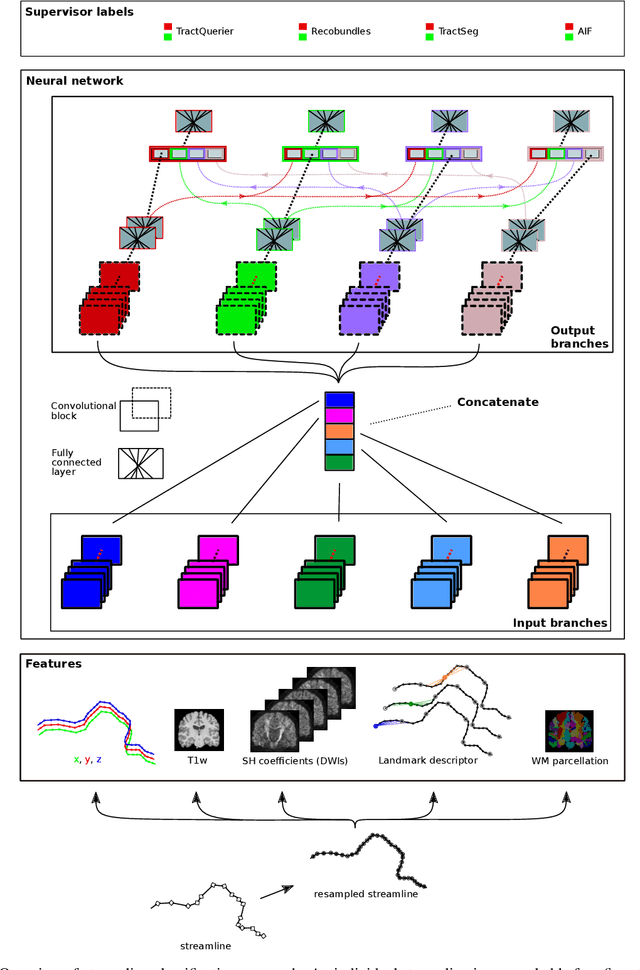 Figure 1 for Merging multiple input descriptors and supervisors in a deep neural network for tractogram filtering